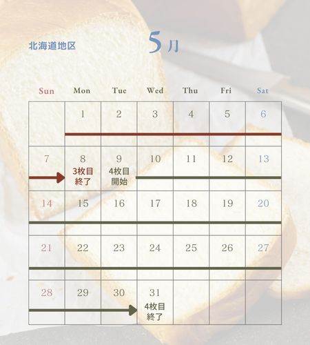 【コウ】ヤマザキ春のパン祭り2023 90枚＋予備8枚　合計98枚‼︎ 2023年「ヤマザキ春のパンまつり」効率の良い点数集めとお皿4枚を