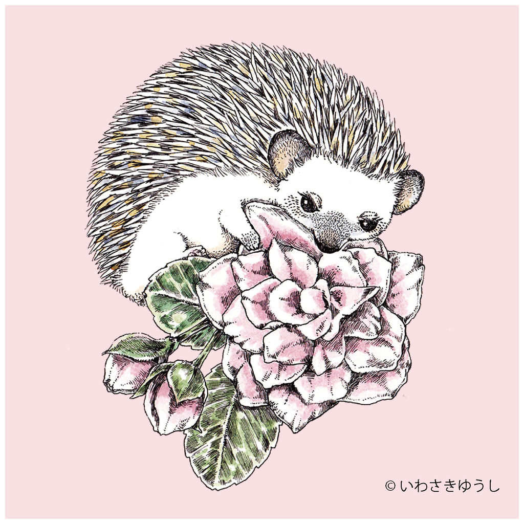 ハリネズミの魅力いっぱいの写真とグッズの祭典 ハリジェニック展18 が開催 8 22から26 落穂log