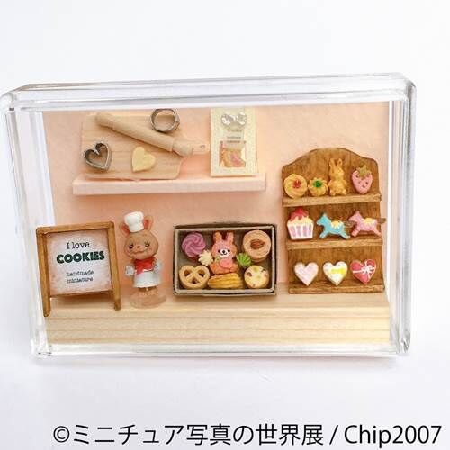 Chip2007