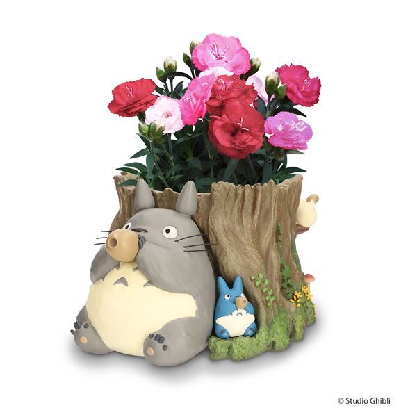 となりのトトロ」や「魔女の宅急便」のプランターに入った2025年母の日