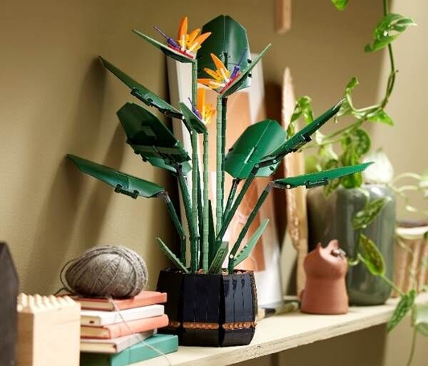 レゴで作る植物シリーズに観葉植物ストレリチア 極楽鳥花 が登場 落穂log