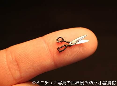 小宮貴裕
