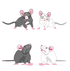 ネズミのpngイラスト 可愛いキャラクターがいっぱい Ocp