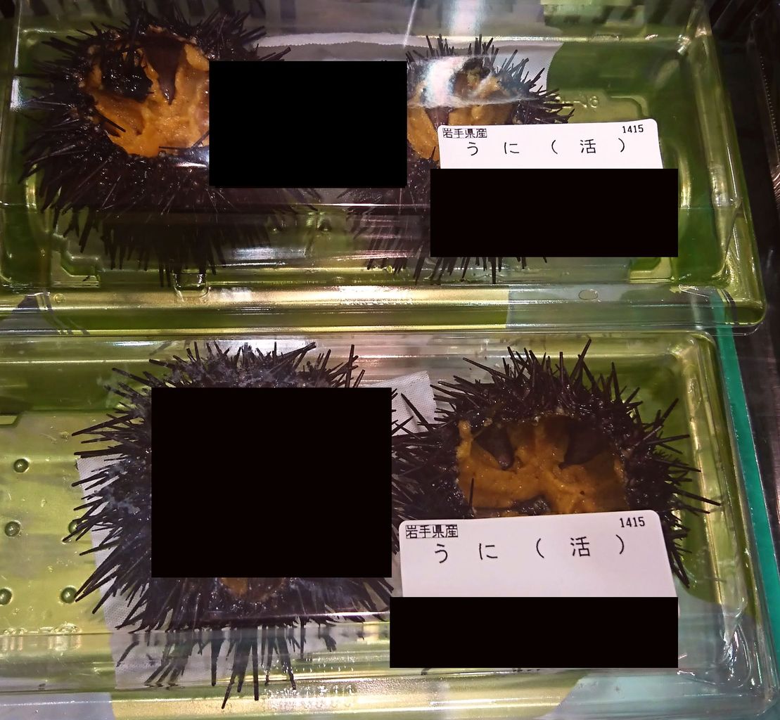 ウニ お取り寄せ 最高級ウニ４種を食べ比べ 北海道利尻産エゾバフンウニ 島の人 礼文島の四季 が一番美味しい おすすめ Tumugi