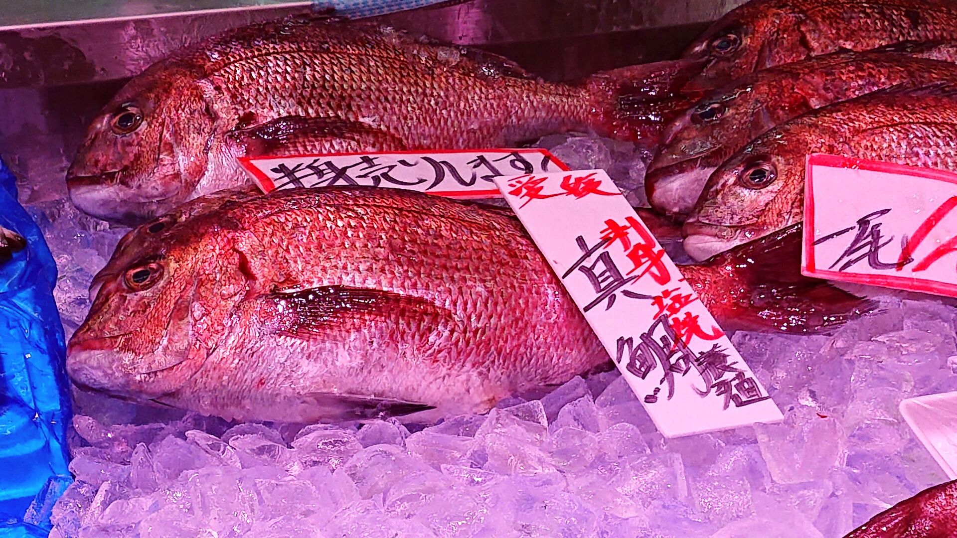 日野 開店情報 角上魚類 日野店が 21年2月26日 金 からリニューアルオープン 巨大鮮魚専門店が 記念特売セールを開催 Tumugi 日野 開店情報 角上魚類 日野店が 21年2月26日 金 からリニューアルオープン 巨大鮮魚専門店が 記念特売セールを開催 Tumugi