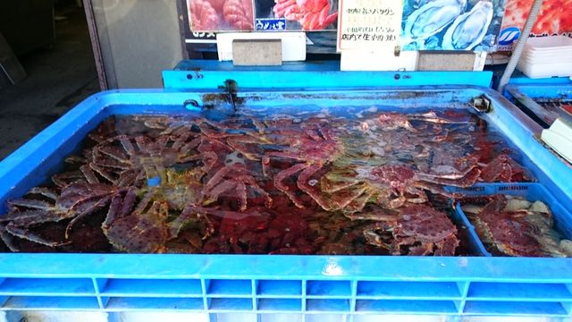 北海道旅行 札幌 市場観光なら 地元民が通う 札幌朝市協同組合 がおすすめ 中央卸売 場外市場 と二条市場よりも安い Tumugi 北海道旅行 札幌 市場観光なら 地元民が通う 札幌朝市協同組合 がおすすめ 中央卸売 場外市場 と二条市場よりも安い Tumugi