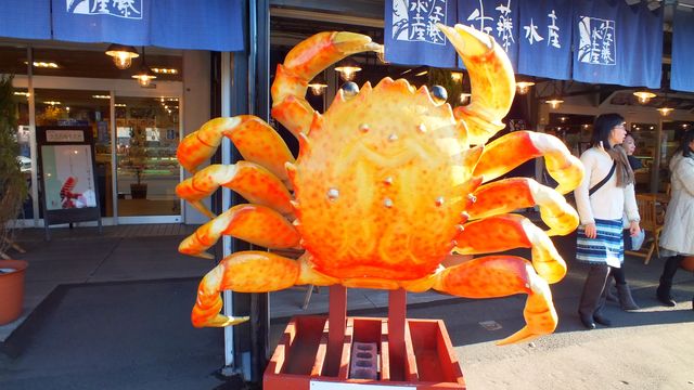北海道旅行 札幌 市場観光なら 地元民が通う 札幌朝市協同組合 がおすすめ 中央卸売 場外市場 と二条市場よりも安い Tumugi 北海道旅行 札幌 市場観光なら 地元民が通う 札幌朝市協同組合 がおすすめ 中央卸売 場外市場 と二条市場よりも安い Tumugi
