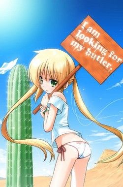 ハヤテ1