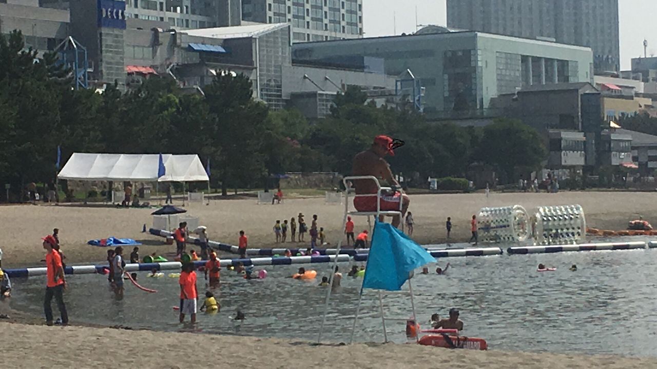 お台場で海水浴 今年は大きめ お台場在住の不動産屋 東新宿まで通勤中 お台場で海水浴 今年は大きめ お台場在住の不動産屋 東新宿まで通勤中