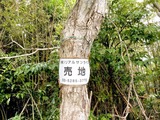 リアルサンライズ表示