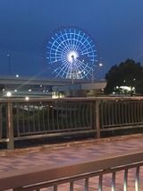 ������������