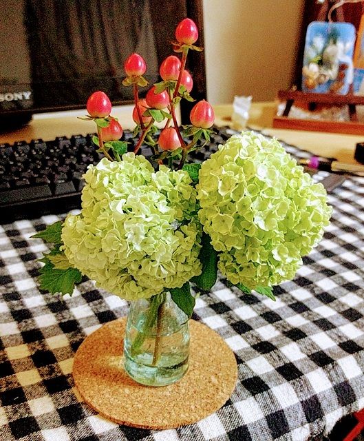 この私が花を愛でるとは降雪ものかも 小高千早の毎日生ハム