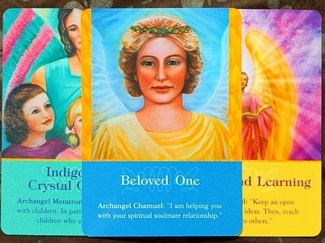 この私が花を愛でるとは降雪ものかも 小高千早の毎日生ハム