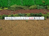 s-IMG_0561