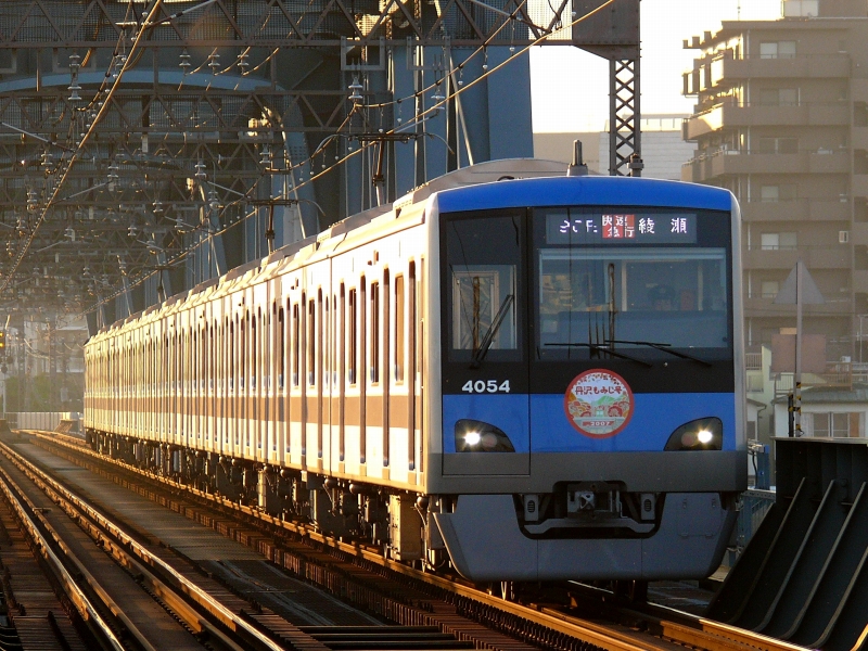 丹沢 大山 深まる紅葉 Rail Of Stream ブログ支社
