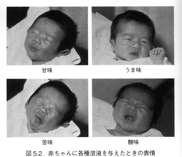 悲報 赤ちゃん とんでもない実験をさせられる 暇すぎ速報