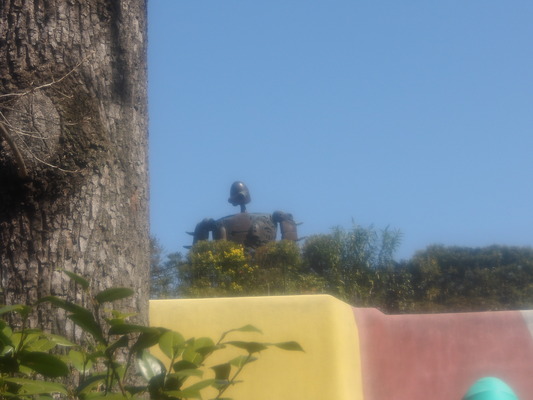IMGP0135