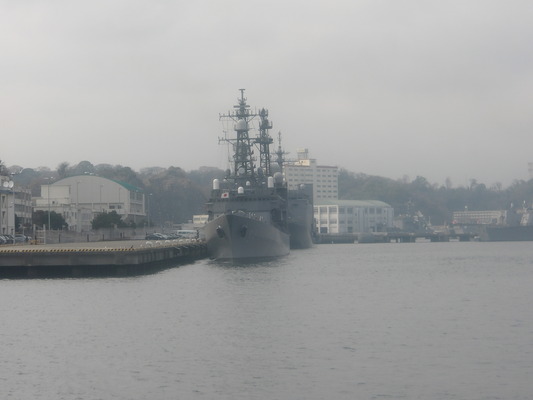IMGP0118