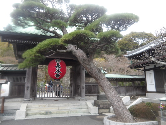 IMGP0078