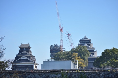 kumamoto-syachihoko2019