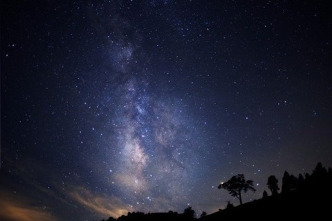 tenkuunorakuen2019-2