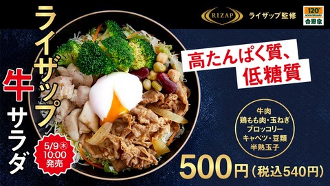 yoshinoya-raizappu-sarada2019