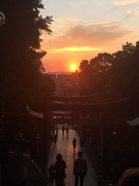 hikarinomichi-2019-aki