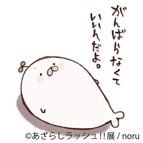 azarashirassyu2019-2