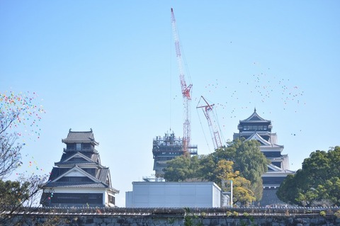 kumamoto-syachihoko2019-3