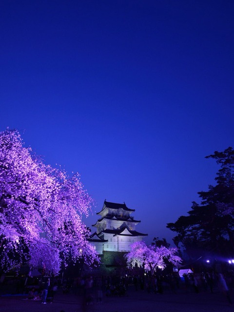 odawarajyou-raitoappu2019-2