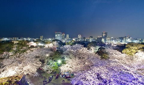 fukuokasakuramatsuri2019-2