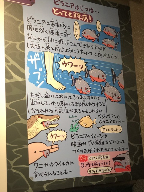 shinagawasuizokukan-tenji-kawaii2019