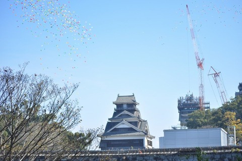 kumamoto-syachihoko2019-4