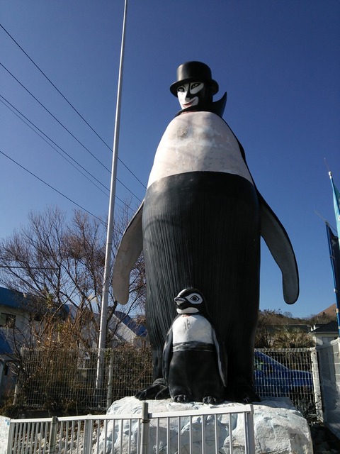 ayashiisyounensyoujyohakubutsukan4