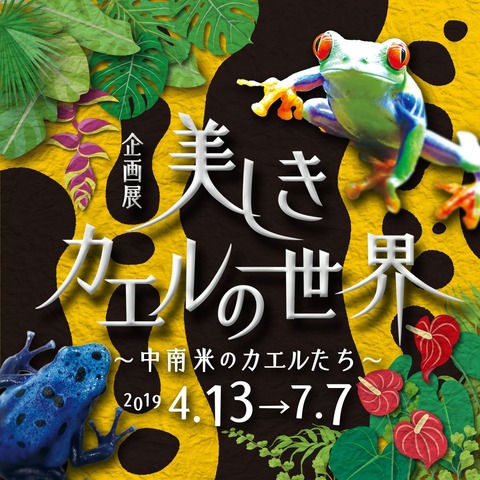 utsukusiikaeruten2019