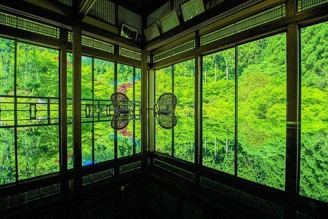 kankyou-geijyutsunomori