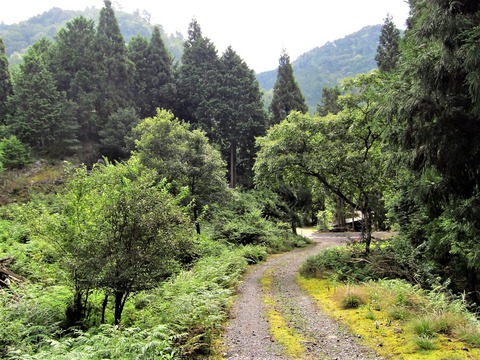 風景 (2)
