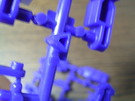 RIMG0006