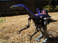 RIMG0052