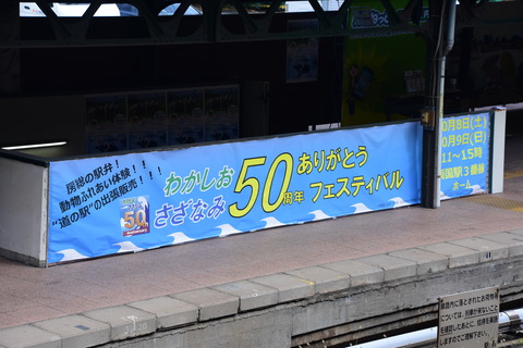 DSC_6081