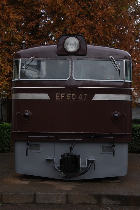 DSC_7739_1