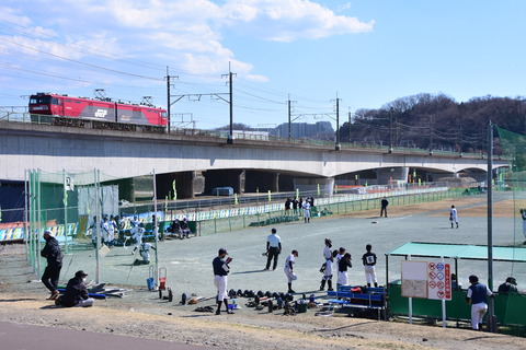 DSC_8486