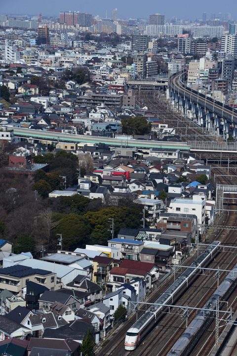 DSC_8951