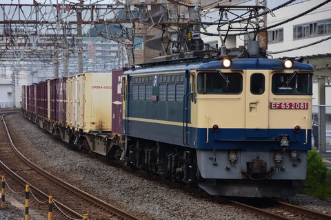 DSC_8490