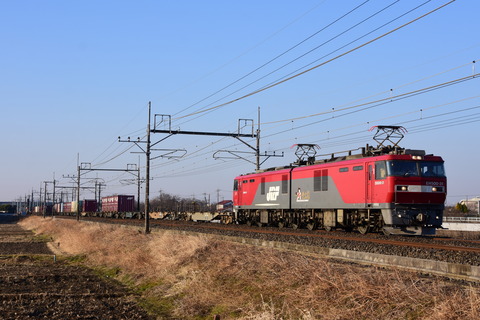 DSC_8372