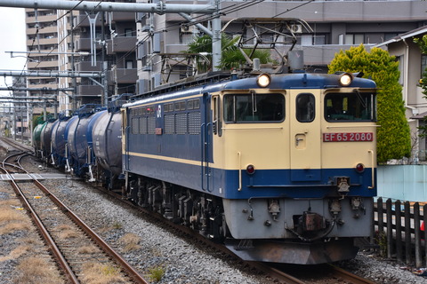 DSC_1496