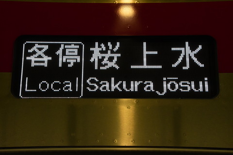 DSC_7545