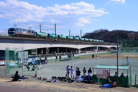 DSC_8489
