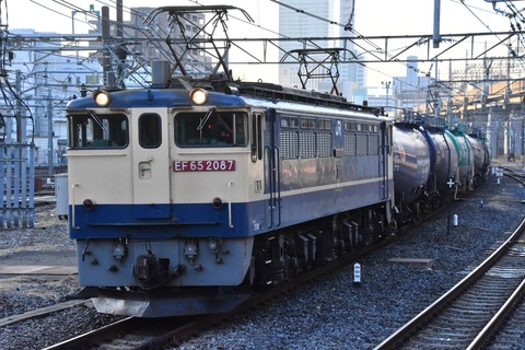 DSC_8559