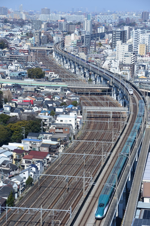 DSC_8963